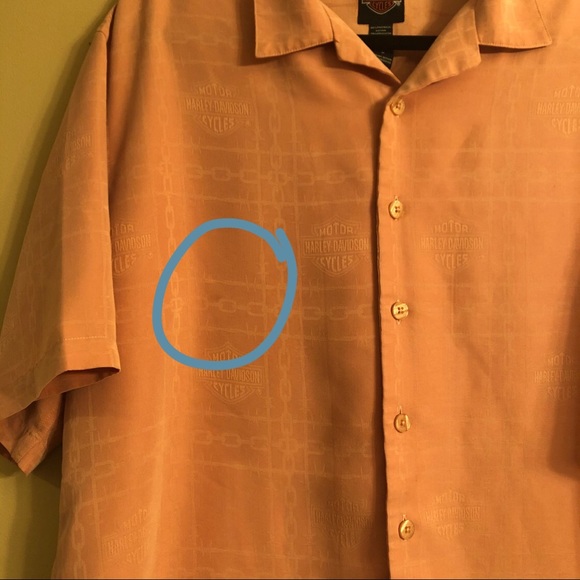 Harley-Davidson Chain Causal Button Down Large - Picture 3 of 7